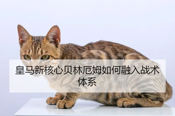 皇马新核心贝林厄姆如何融入战术体系