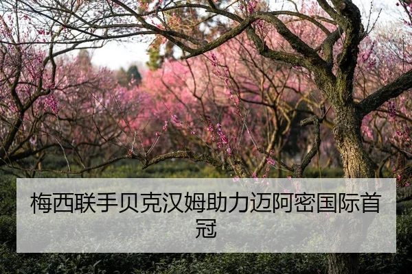 梅西联手贝克汉姆助力迈阿密国际首冠