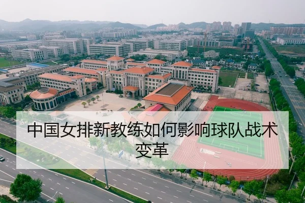 中国女排新教练如何影响球队战术变革